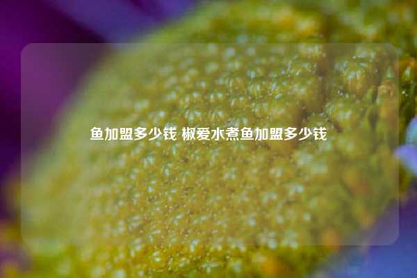 鱼加盟多少钱 椒爱水煮鱼加盟多少钱