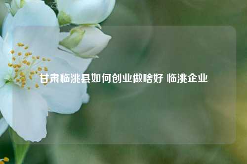 甘肃临洮县如何创业做啥好 临洮企业