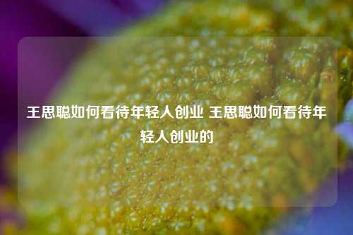 王思聪如何看待年轻人创业 王思聪如何看待年轻人创业的